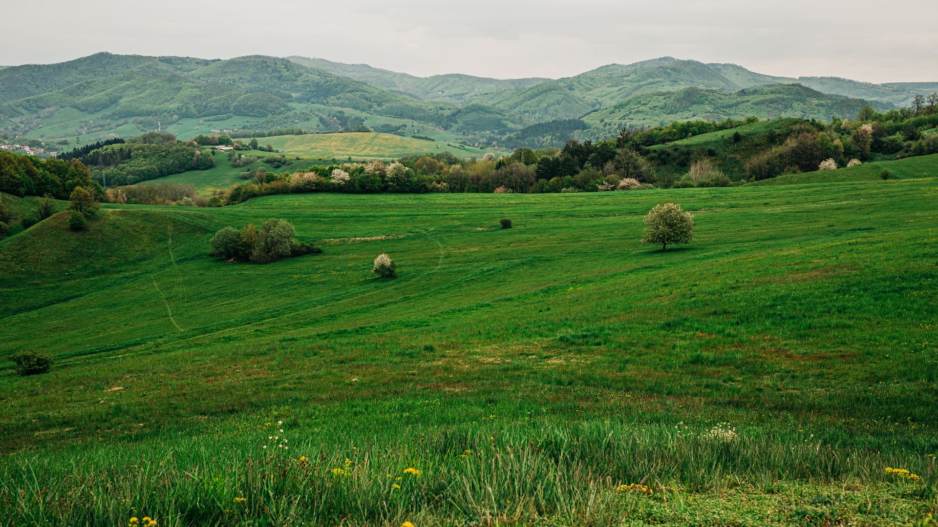 Kopaničiarska krajina — lúky, polia a zalesnené kopce pod Bielymi Karpatmi